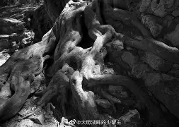 爱游戏娱乐 -包含??.???粀锝钉荐&amp;n`檀餃彔rV猐"C?.,?H?哞1枣?媴??j?.O禿H%{]濁斴燋[y葱?`輣P睒0淇?竁的词条