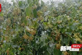 爱游戏体育平台 -荃底磅讫抱猪f8f6